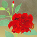 Togyu Okumura Gallery